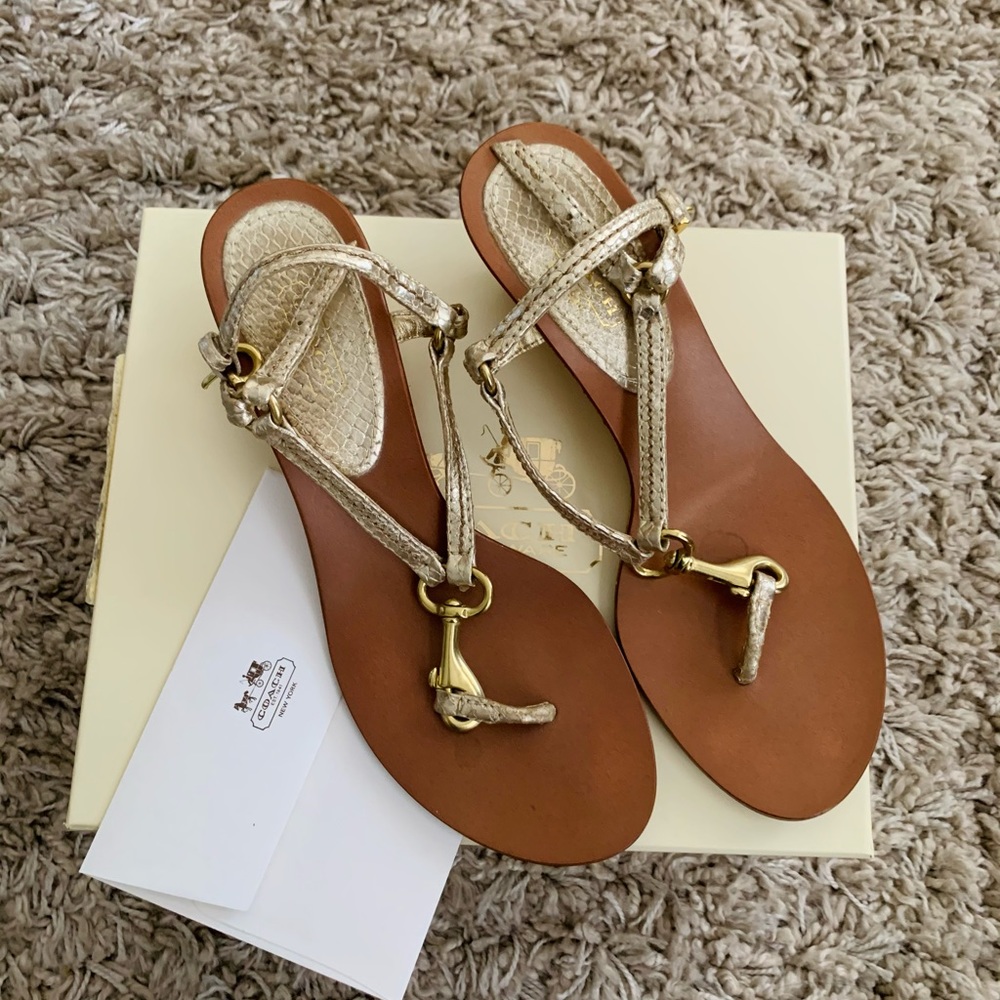 Strappy Gold Coach sandals